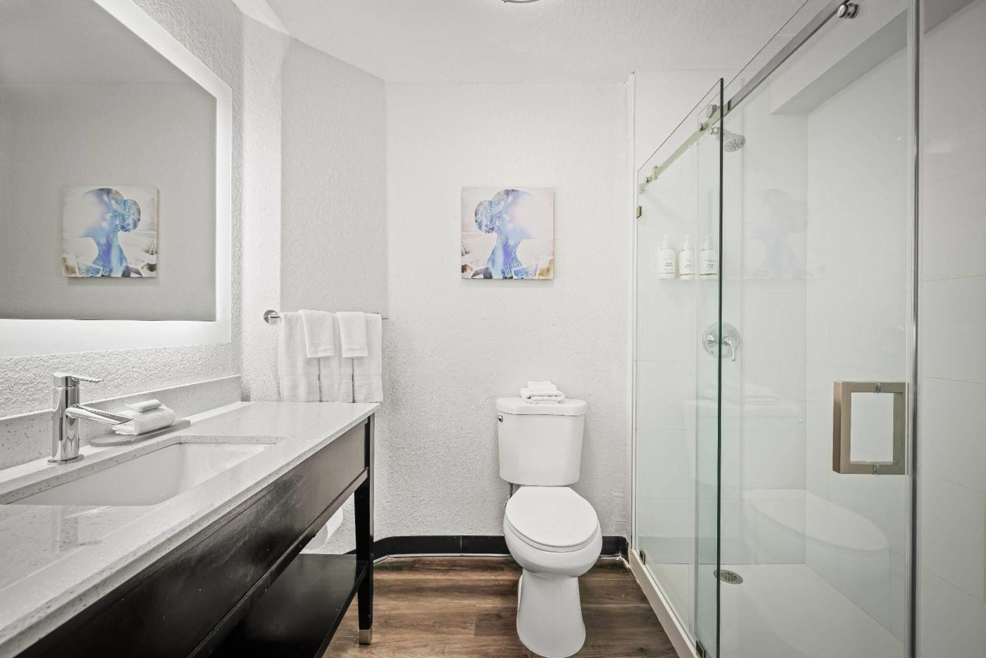One-Bedroom King Suite Non-Smoking